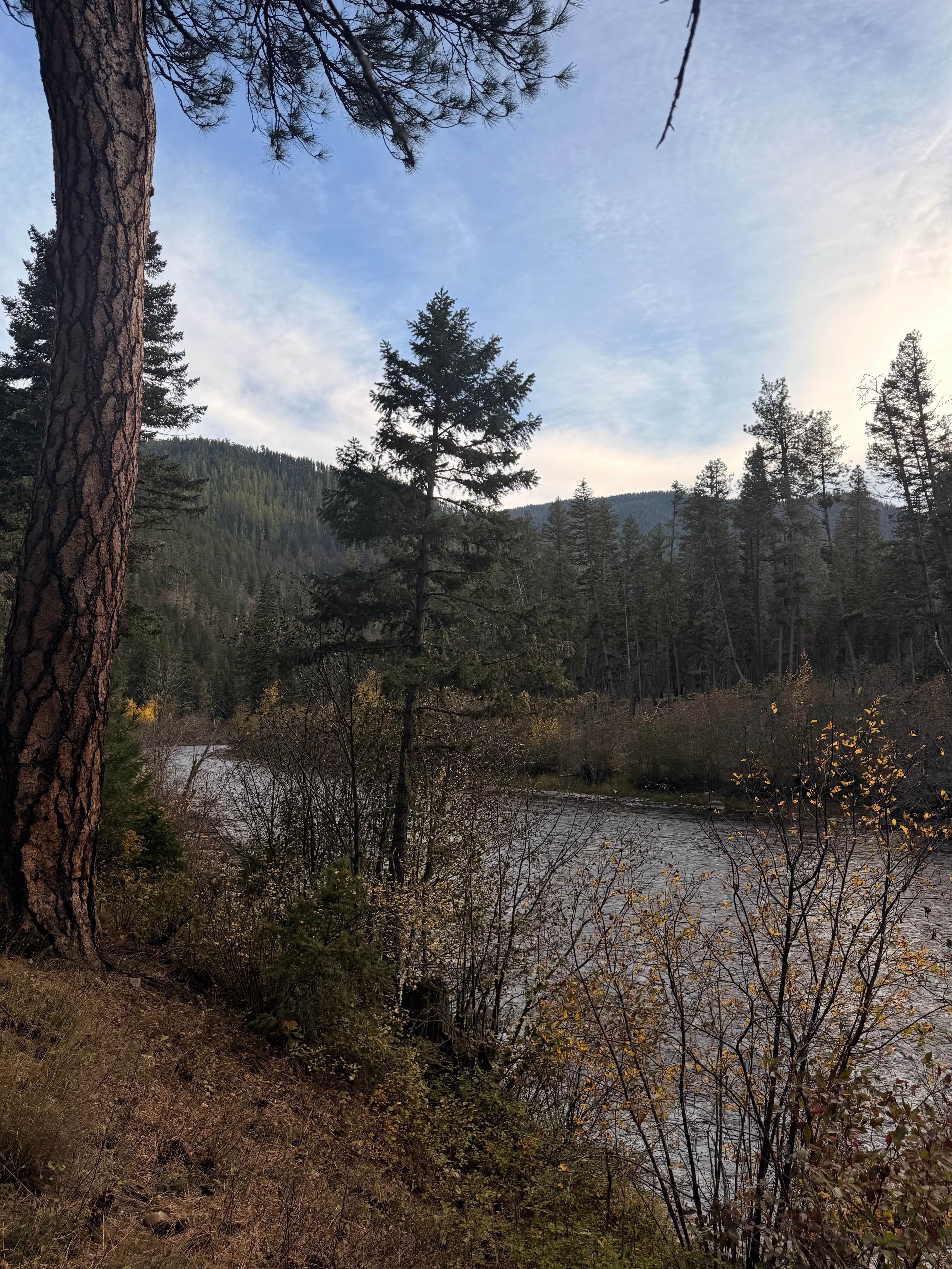 Camper-submitted photo at upper rock creek road near Florence, MT