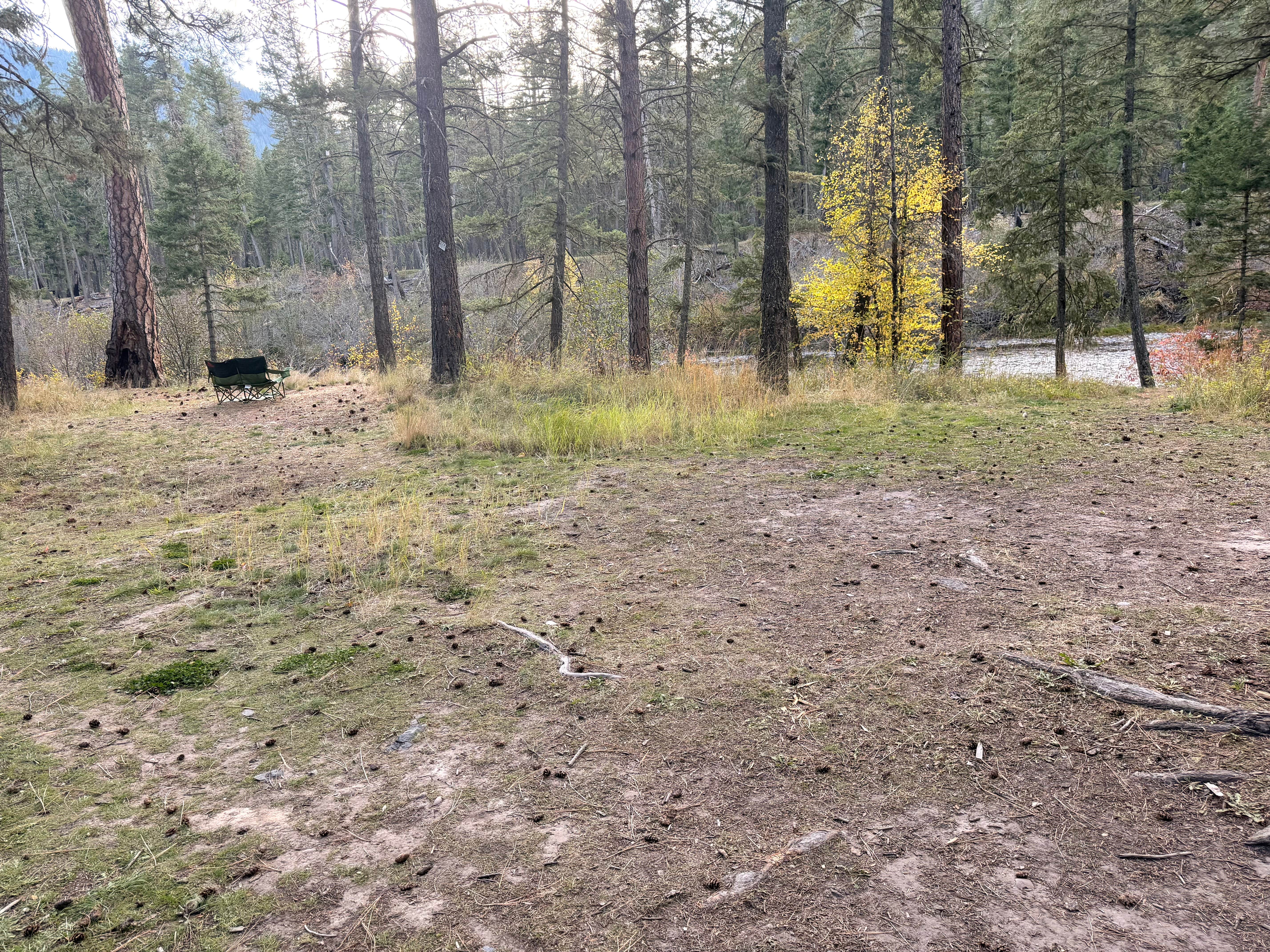 Camper-submitted photo at upper rock creek road near Florence, MT