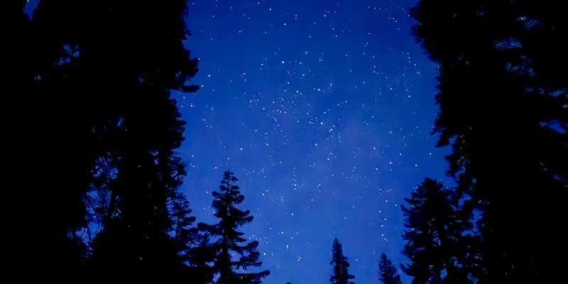 Camper submitted image from Upper Sand Flat