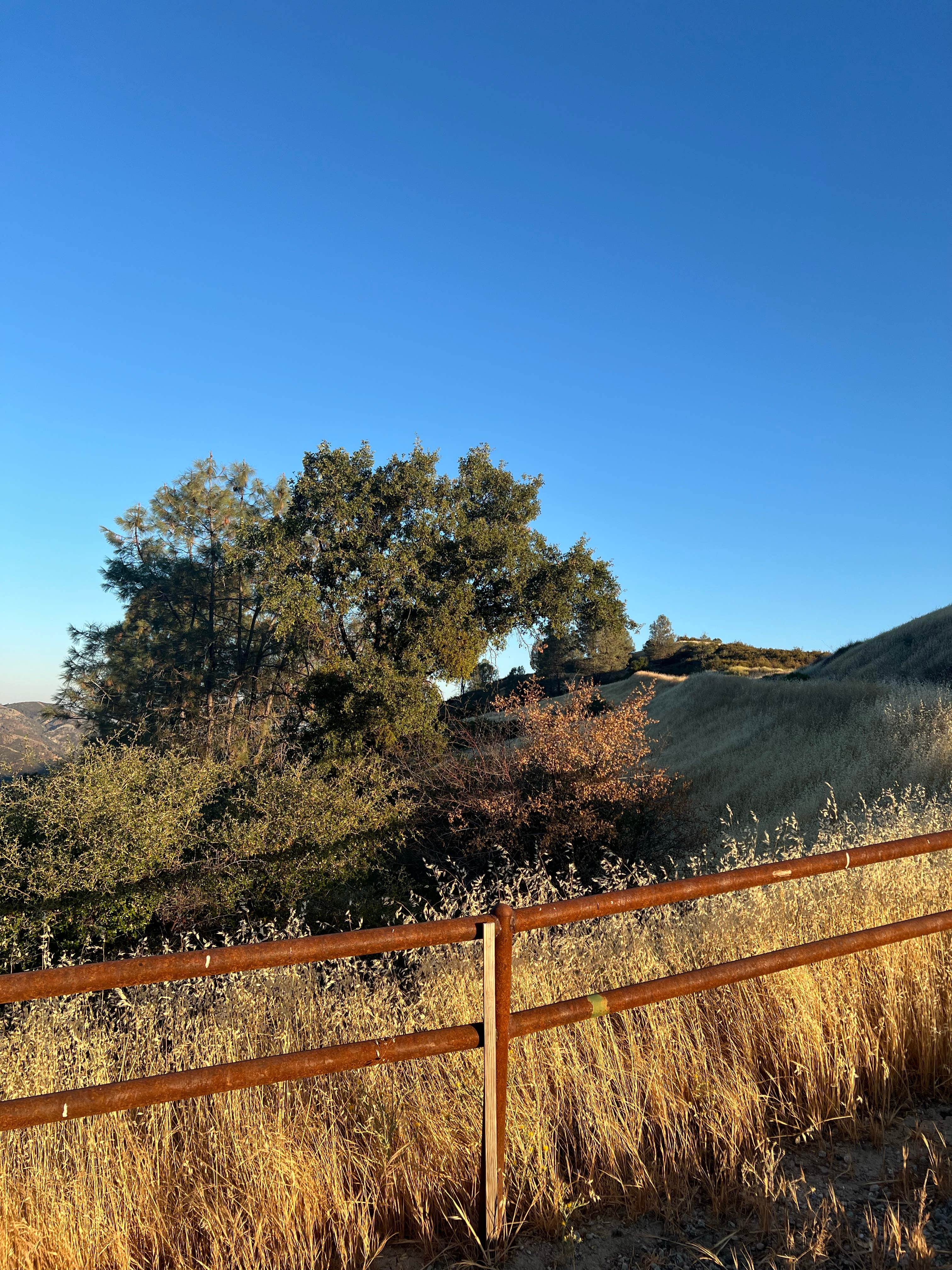 Camper-submitted photo at Upper Sweetwater Laguna Mountain Campground near Pinnacles National Park