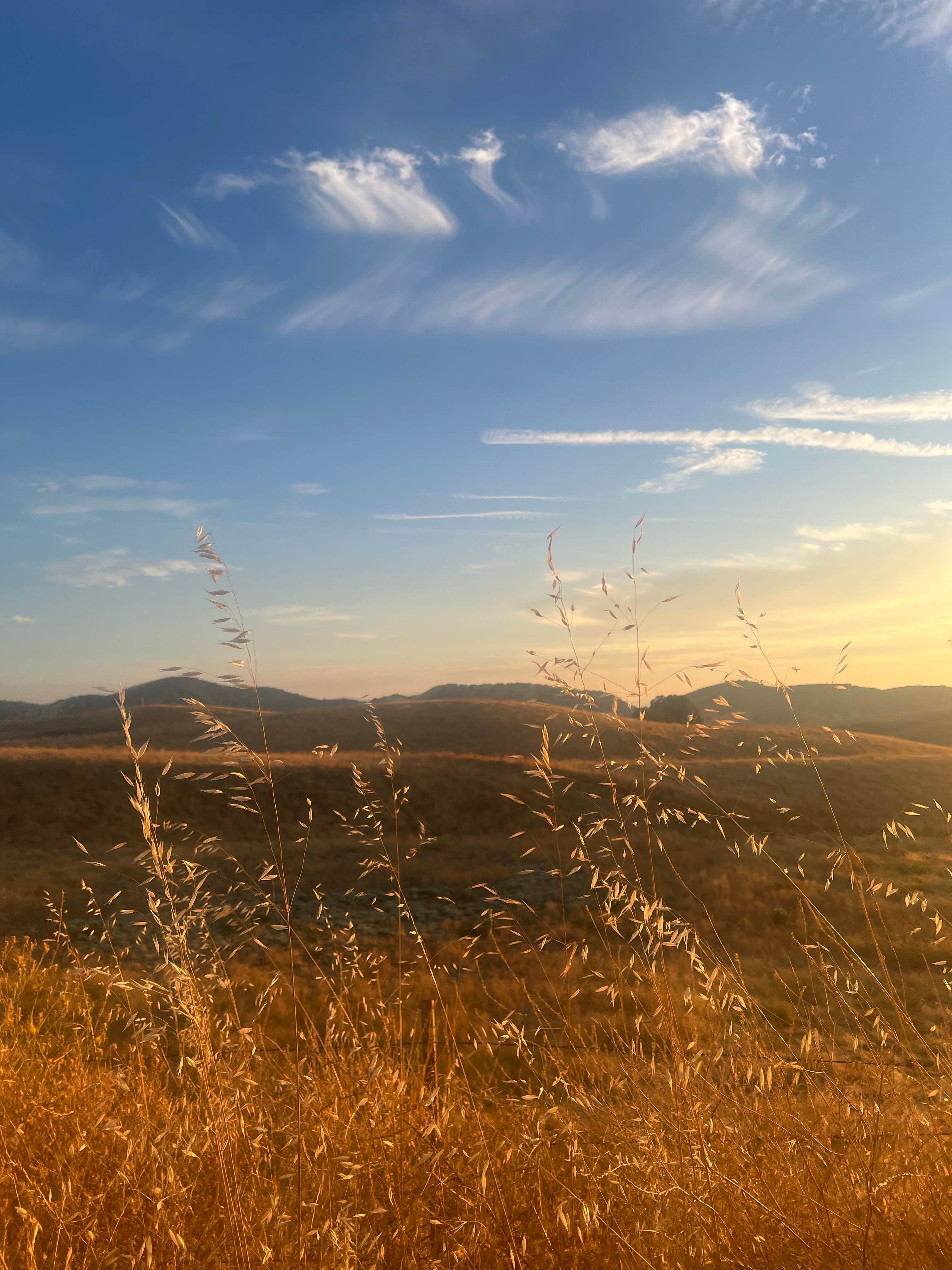 Camper-submitted photo at Upper Sweetwater Laguna Mountain Campground near Pinnacles National Park