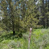 Review photo of Upper Teton View Dispersed by Kaelyn H., June 26, 2025