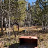 Review photo of Upper Teton View Dispersed by Amy W., October 18, 2026