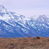 Review photo of Upper Teton View Dispersed by Henry H., December 25, 2023