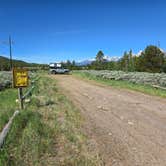 Review photo of Upper Teton View Dispersed by Beverly T., June 20, 2024