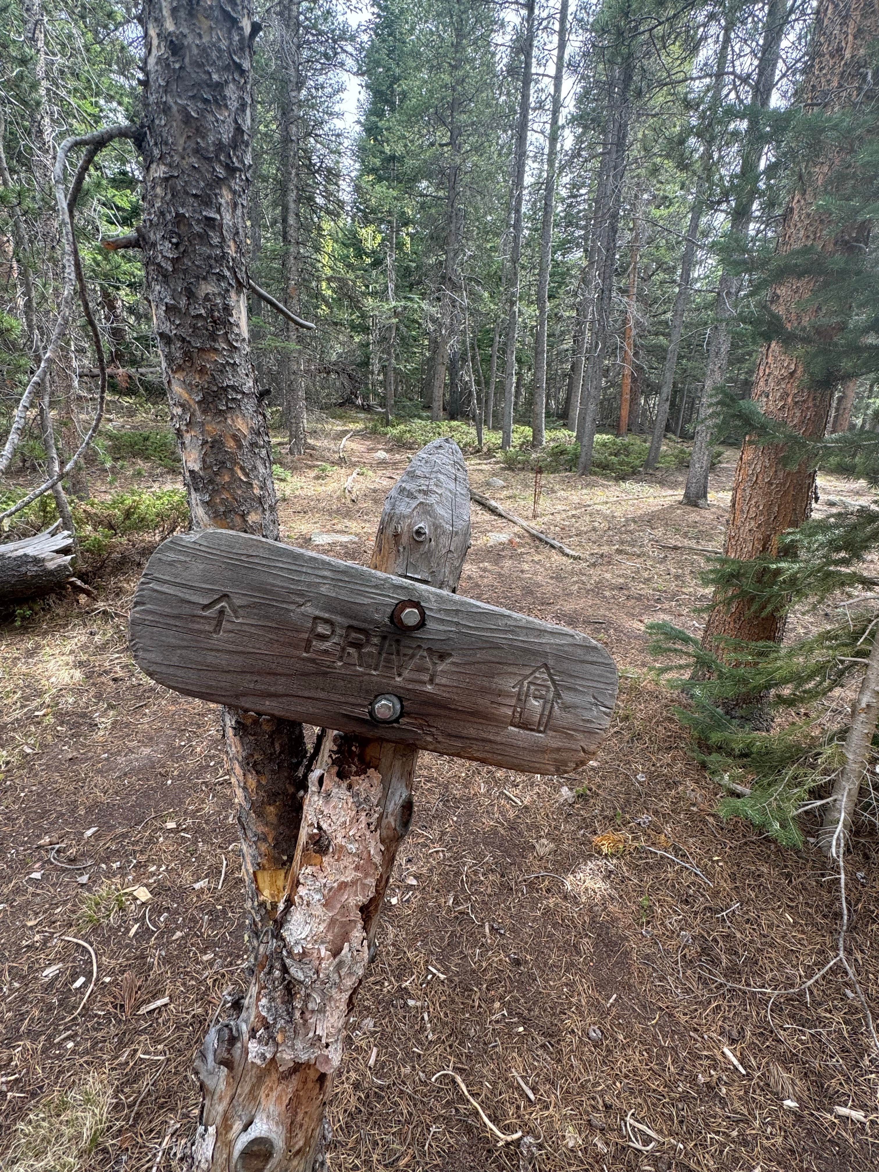 Camping near Wind River Bluff: Upper Wind River, Estes Park, Colorado