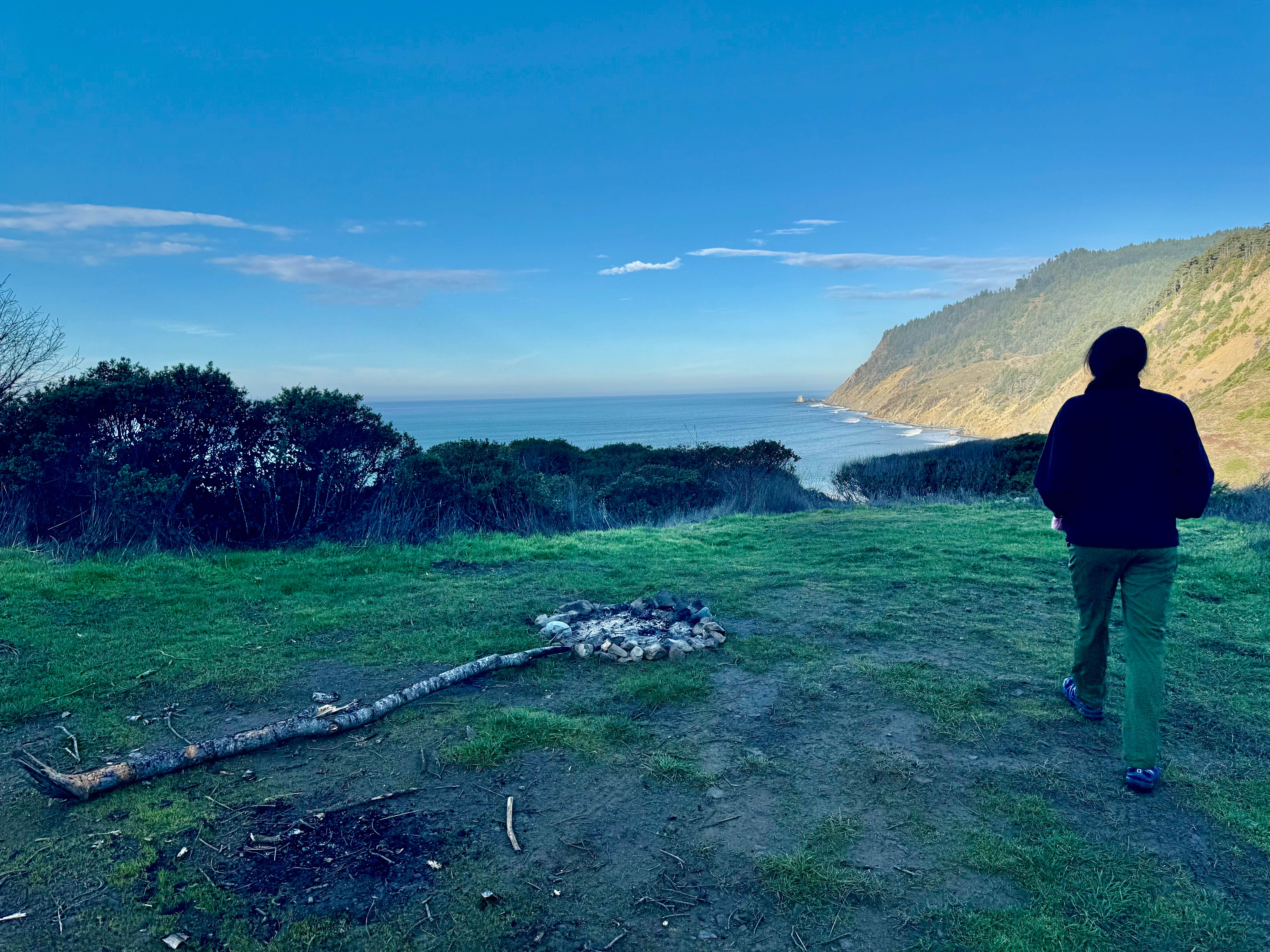 Camper submitted image from Usal Beach Overlook - 1