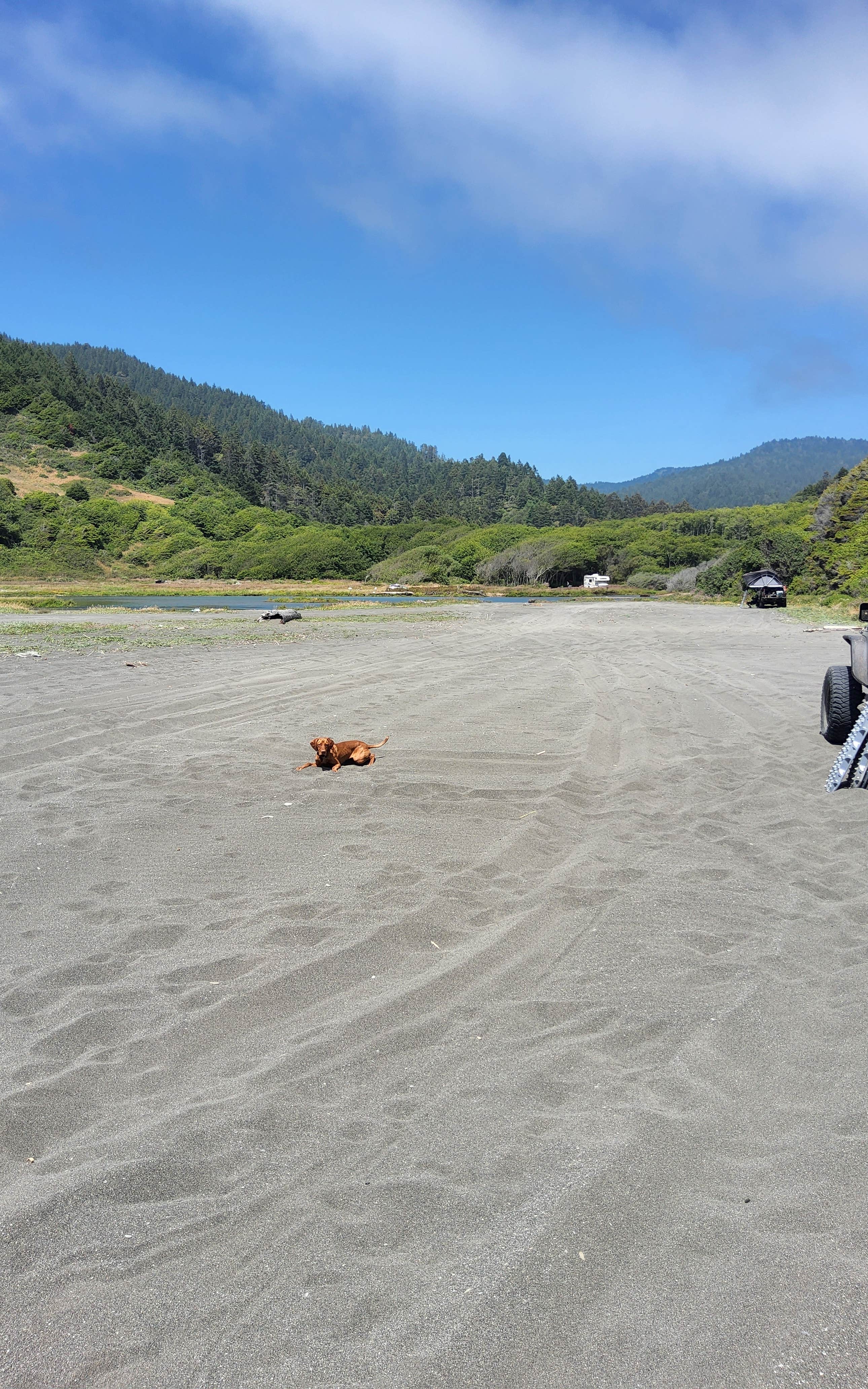 SpentBrassOffroad B.'s photo of camping with pets at Usal Beach Overlook near King Range National Conservation Area