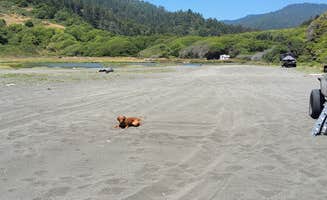 SpentBrassOffroad B.'s photo of camping with pets at Usal Beach Overlook near Covelo, CA