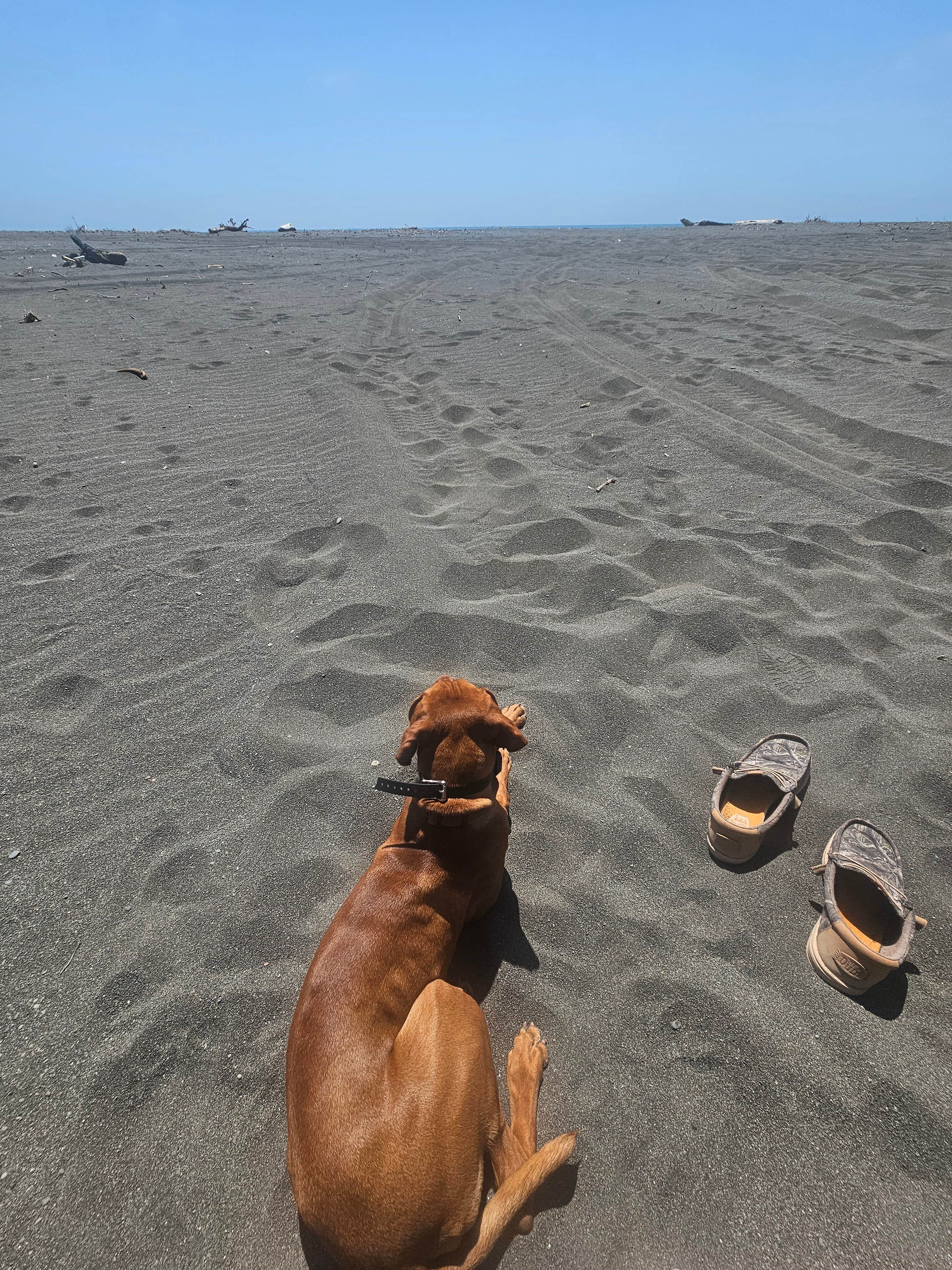 Camper-submitted photo at Usal Beach Overlook near Bridgeville, CA