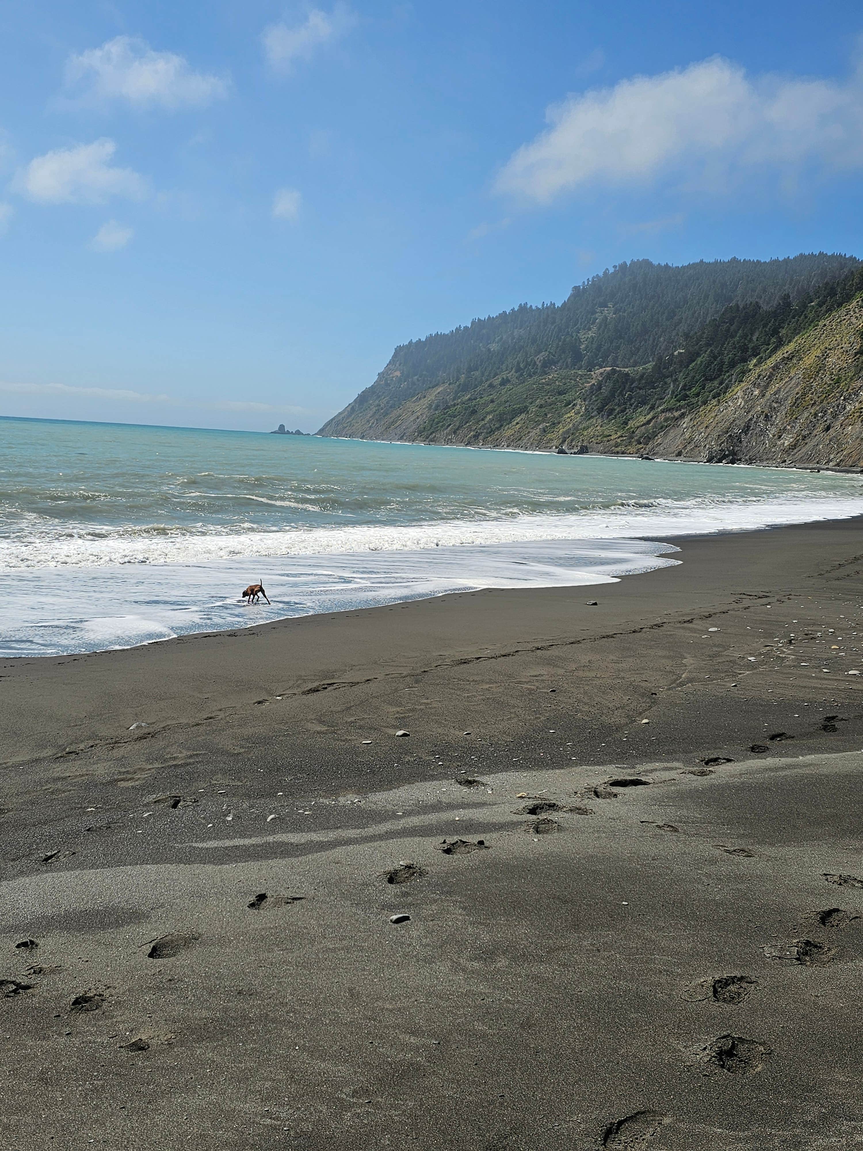 Camper-submitted photo at Usal Beach Overlook near Leggett, CA