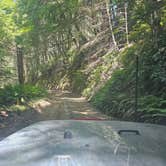 Review photo of Usal Beach Overlook by SpentBrassOffroad B., June 13, 2025