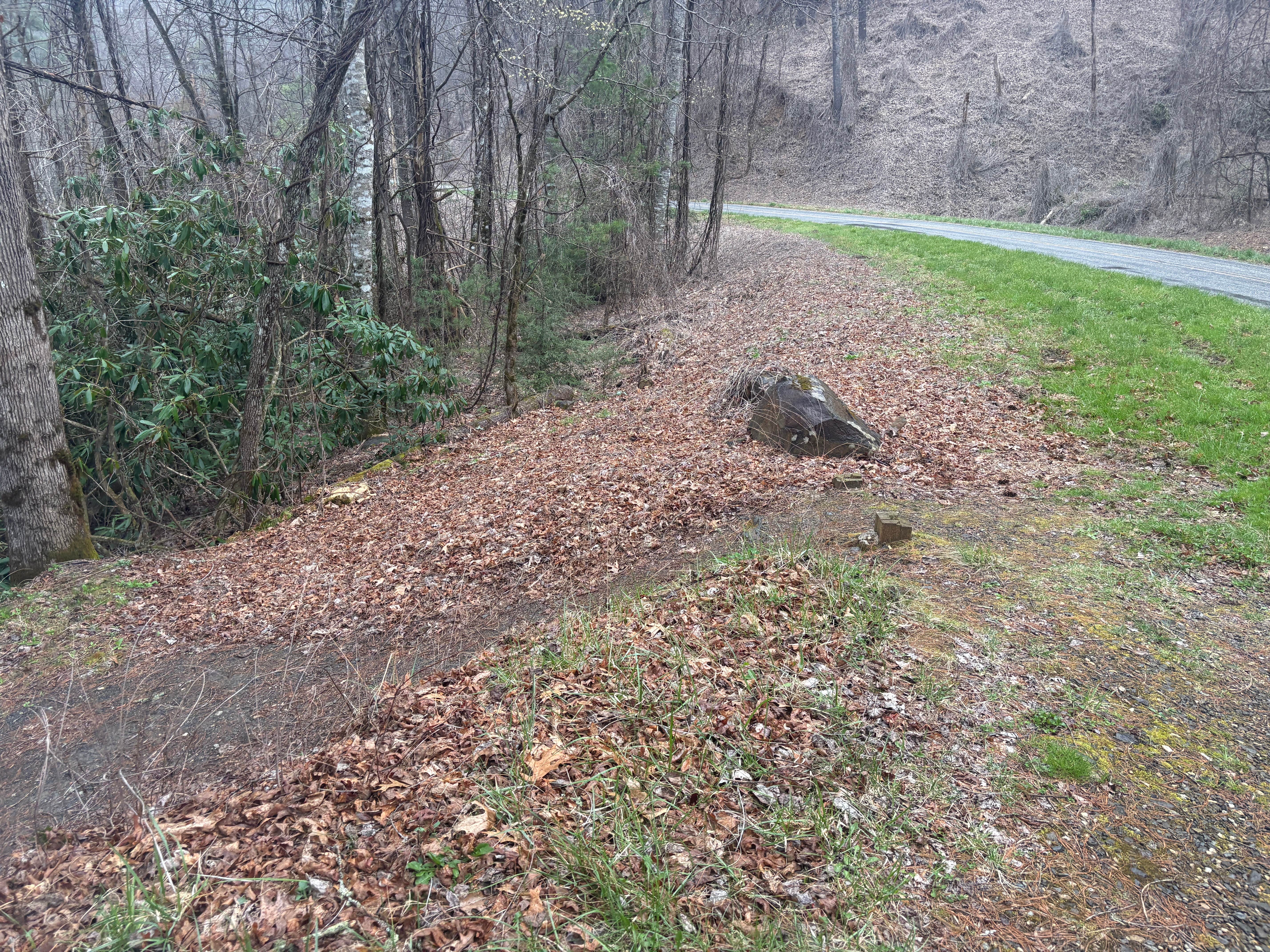Camper-submitted photo at USFS - Campsite J11 - Joyce Kilmer Road near Greenback, TN