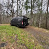 Review photo of USFS - Campsite J11 - Joyce Kilmer Road by Nick M., March 27, 2026
