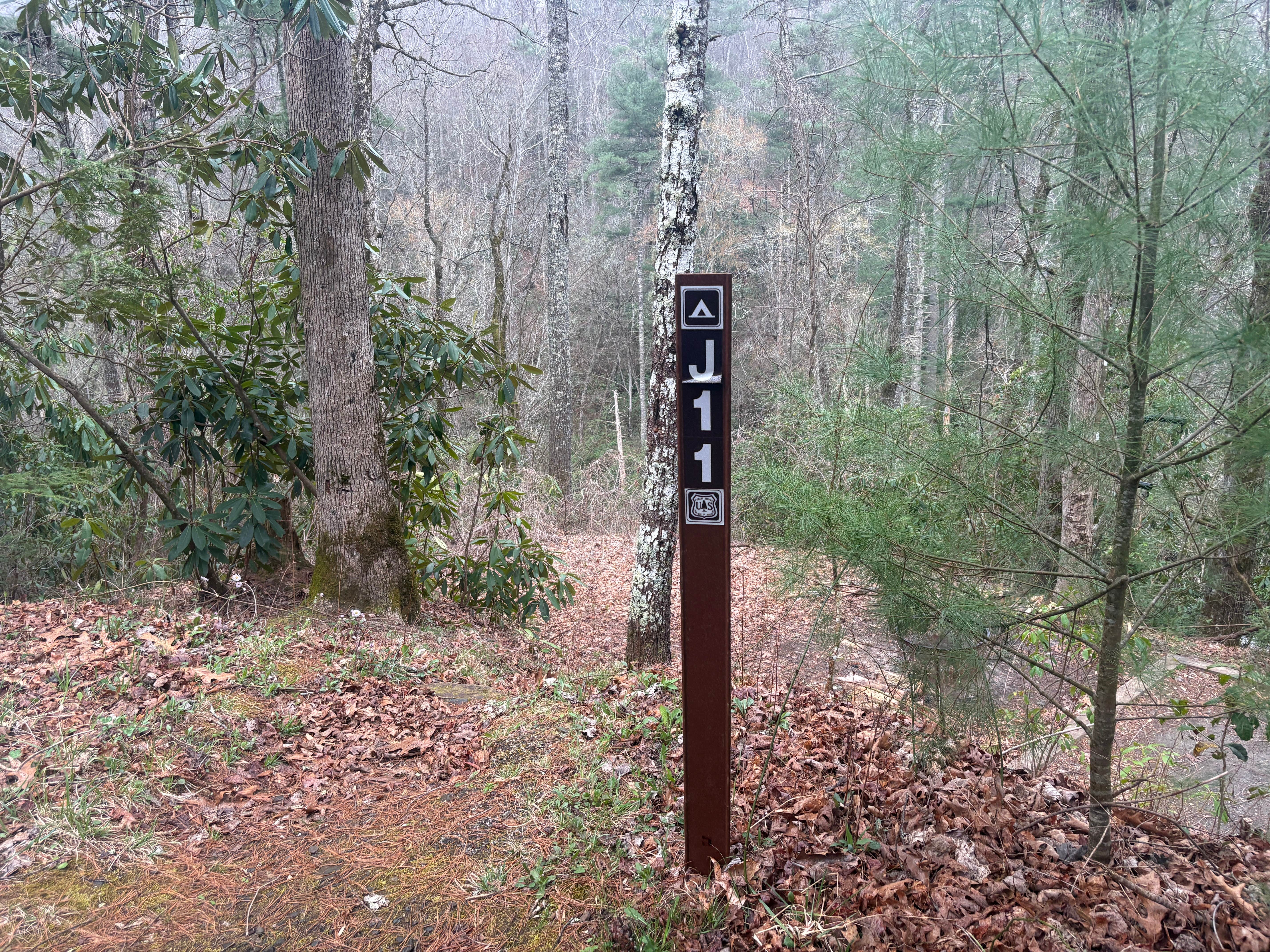 Camper-submitted photo at USFS - Campsite J11 - Joyce Kilmer Road near Greenback, TN