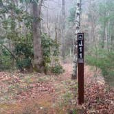 Review photo of USFS - Campsite J11 - Joyce Kilmer Road by Nick M., March 27, 2026