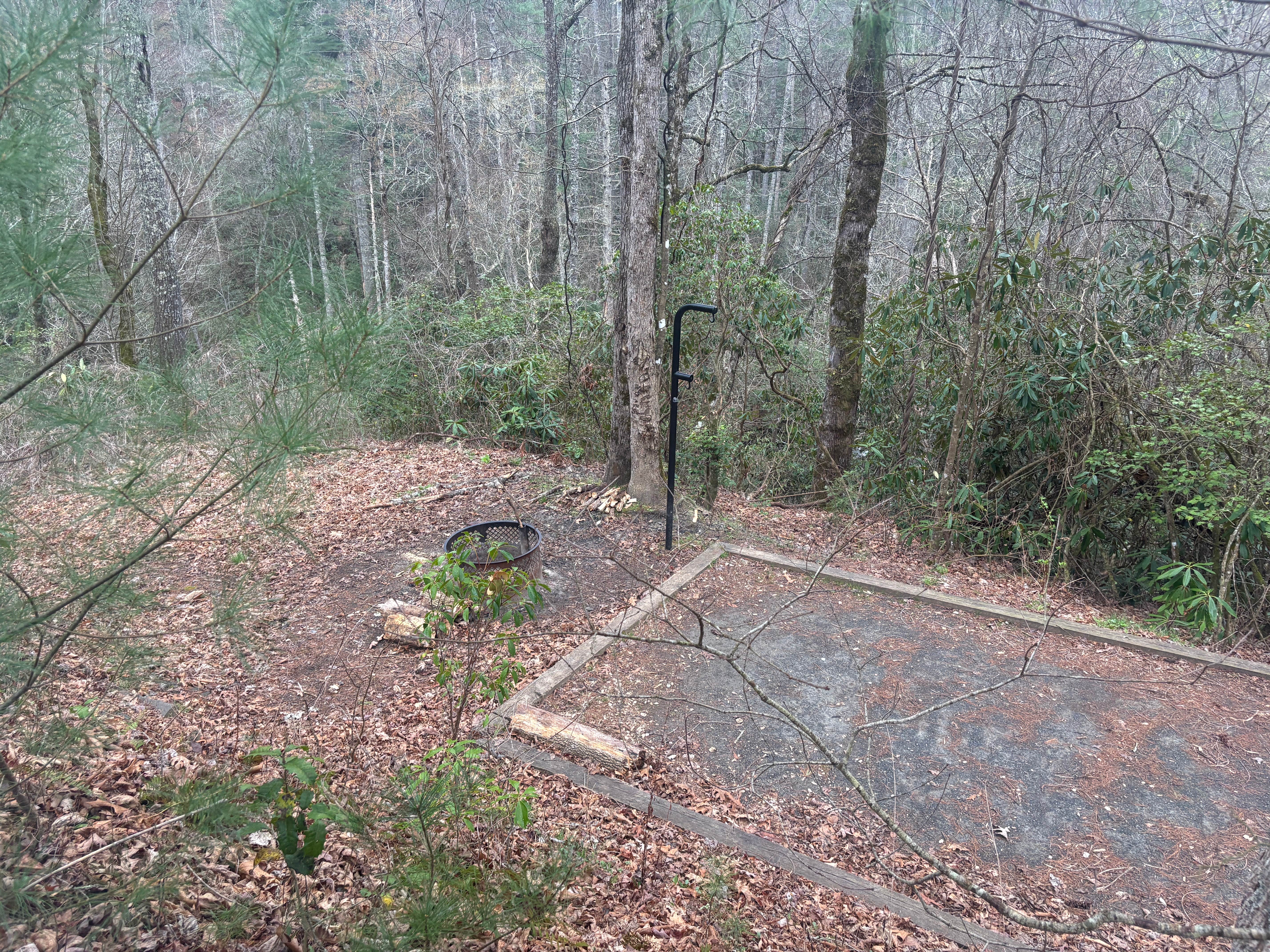 Camper-submitted photo at USFS - Campsite J11 - Joyce Kilmer Road near Greenback, TN