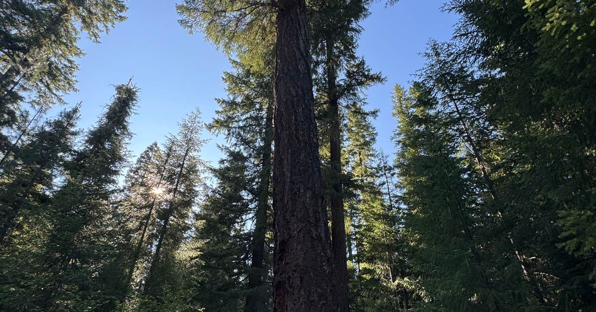 USFS Rogue River Dispersed