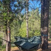 Review photo of USFS Silver Fork Dispersed by Nat P., June 11, 2025