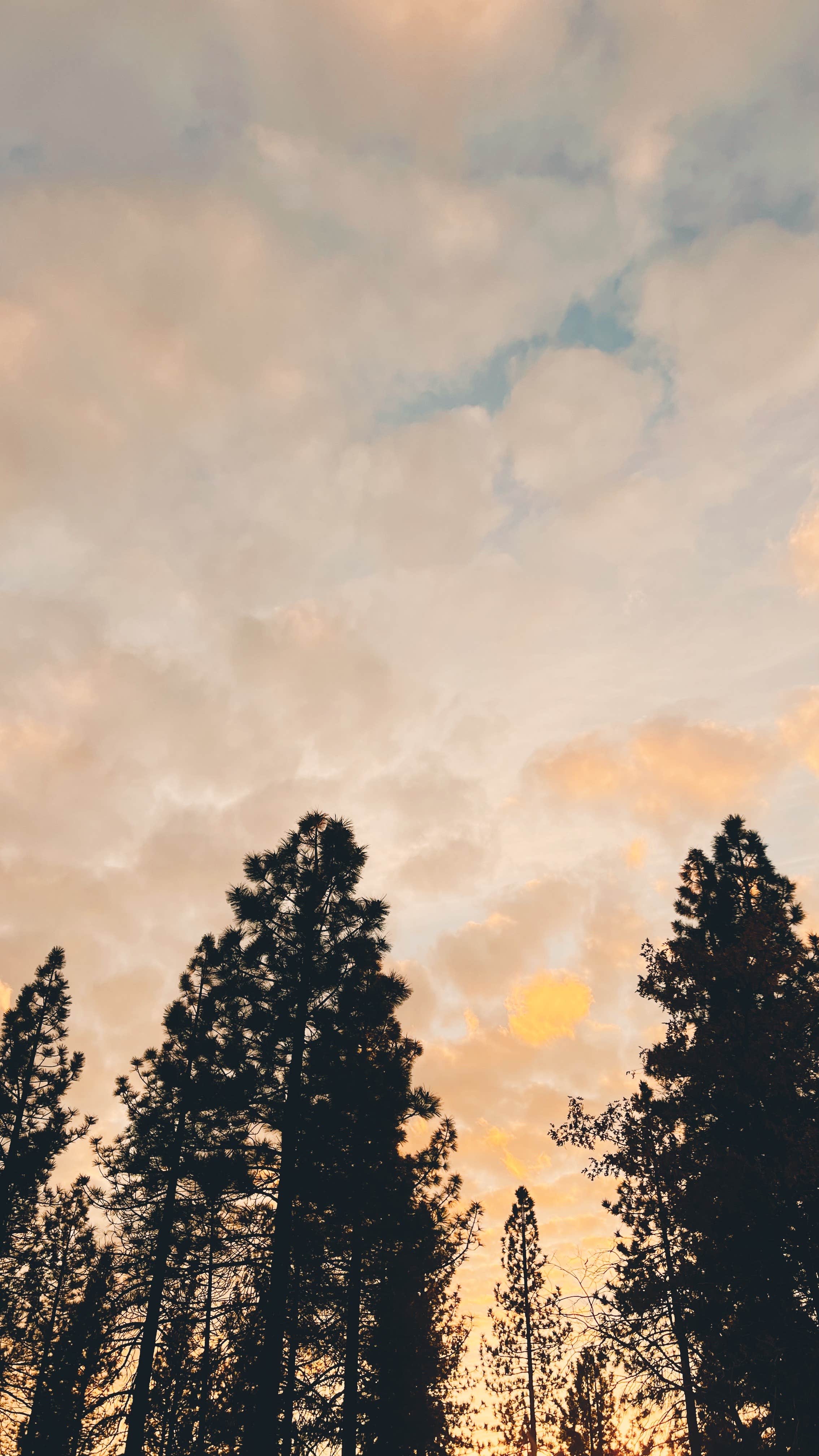 USFS Silver Fork Dispersed