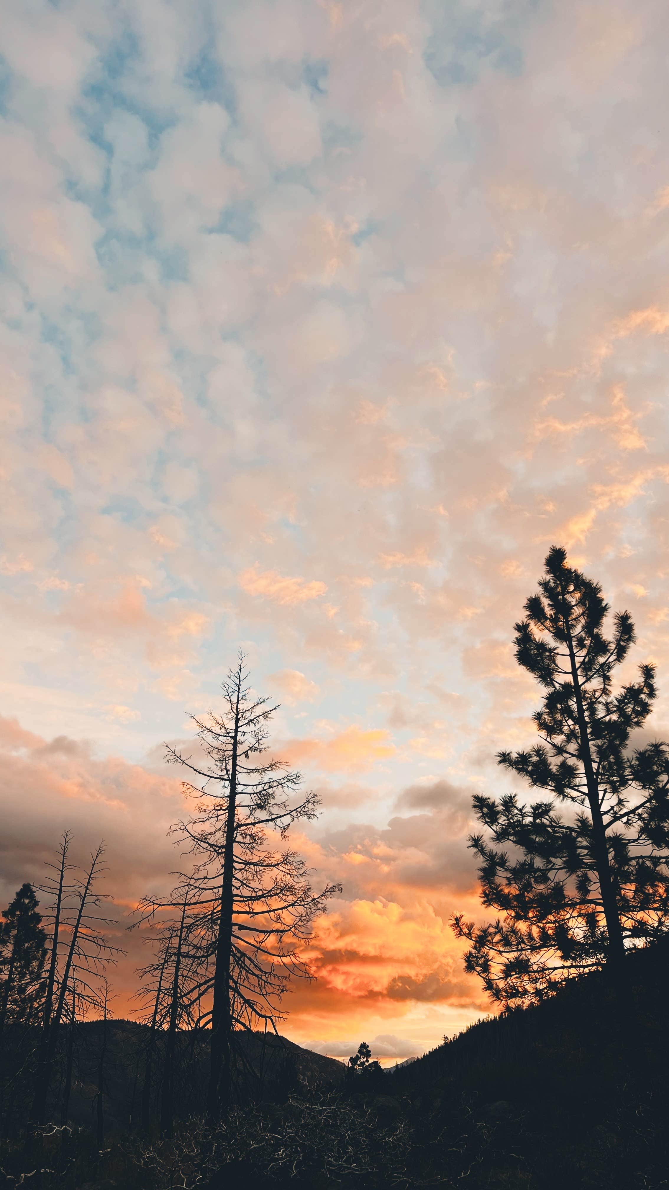 USFS Silver Fork Dispersed