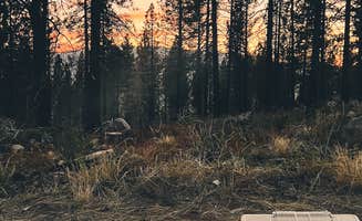 Alex's photo at USFS Silver Fork Dispersed near Eldorado National Forest