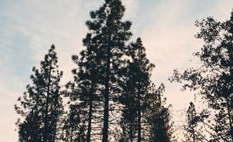 Alex's photo of a dispersed camping area at USFS Silver Fork Dispersed near Gold Hill, CA