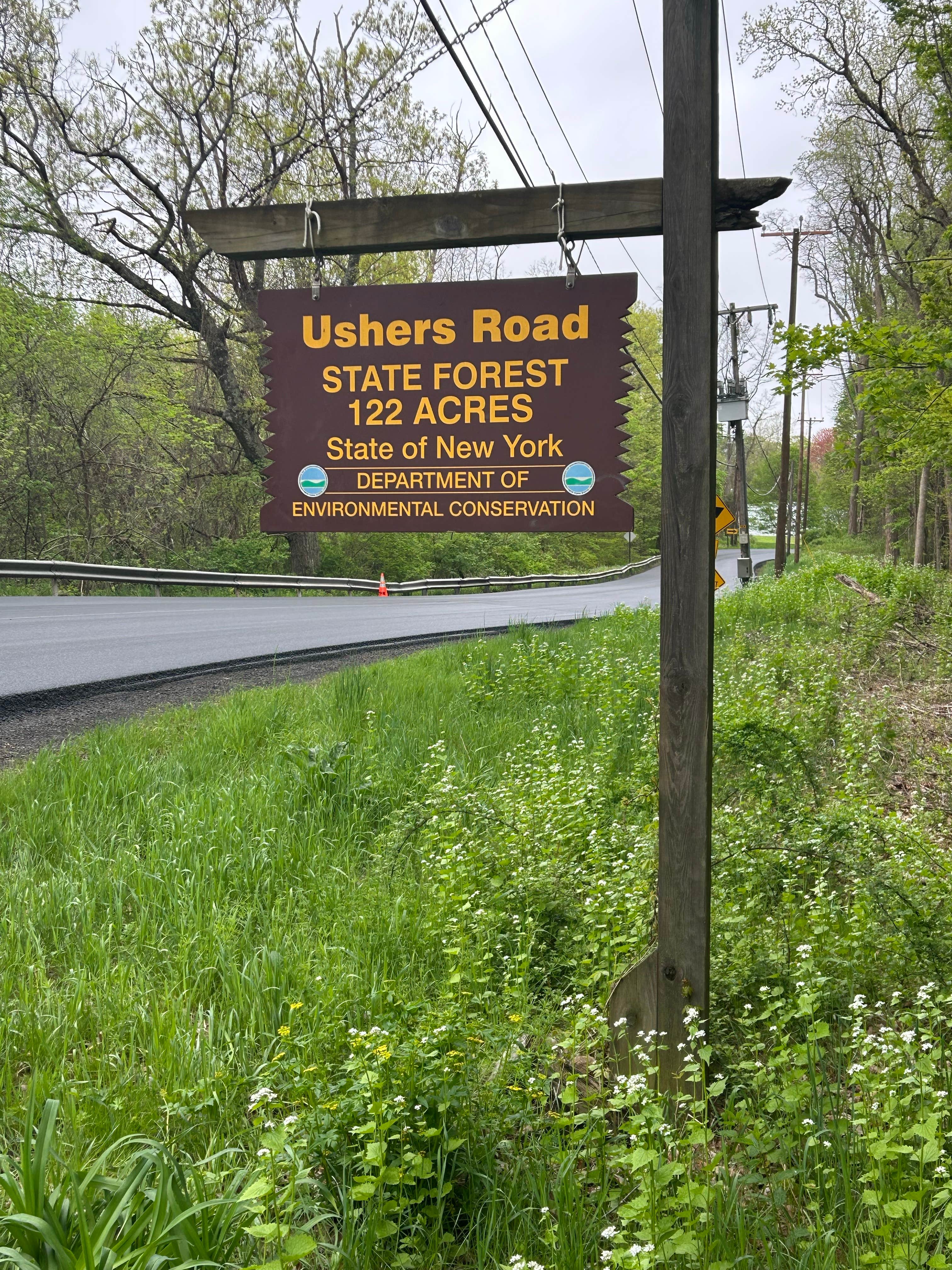 Camper submitted image from Ushers Road State Forest - 2