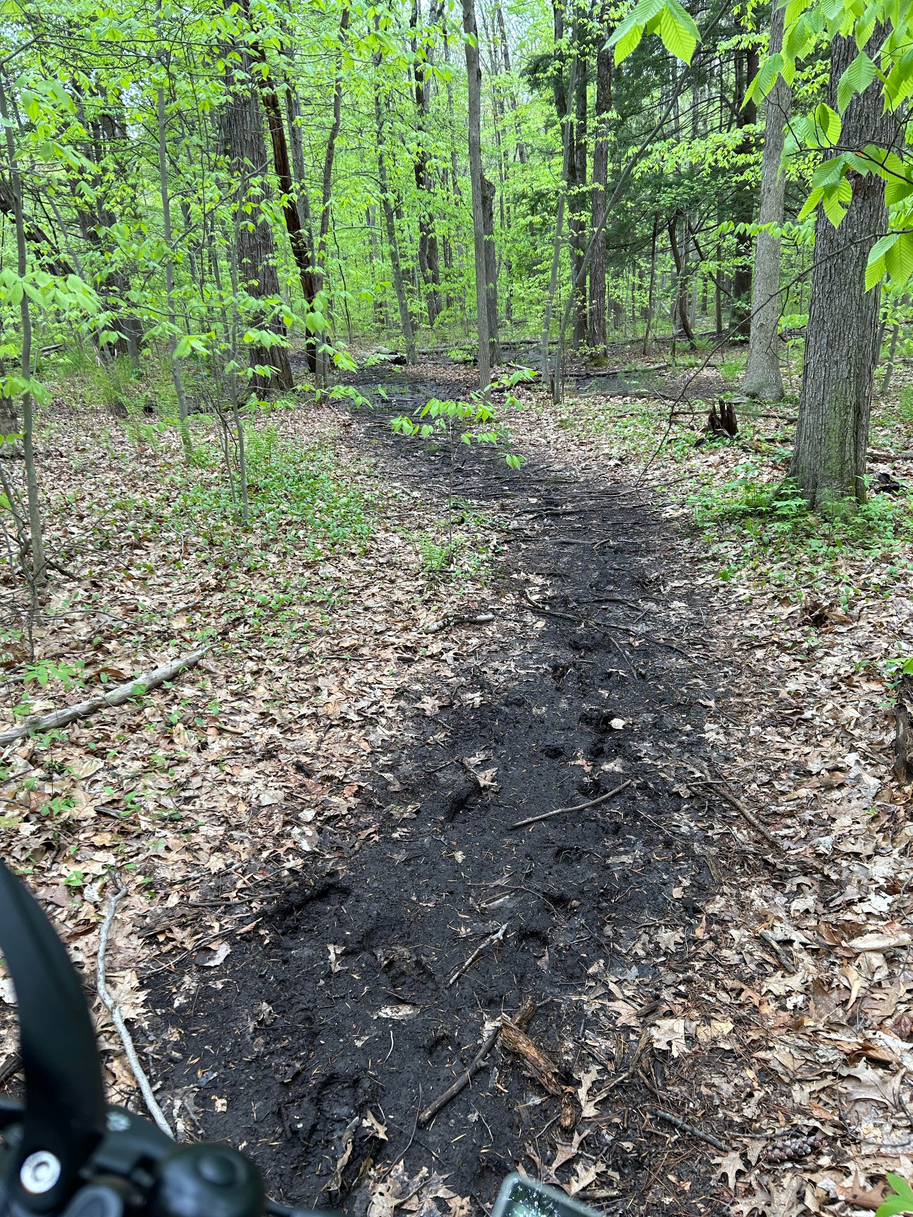 Ushers Road State Forest