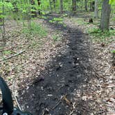 Review photo of Ushers Road State Forest by The L., May 8, 2025