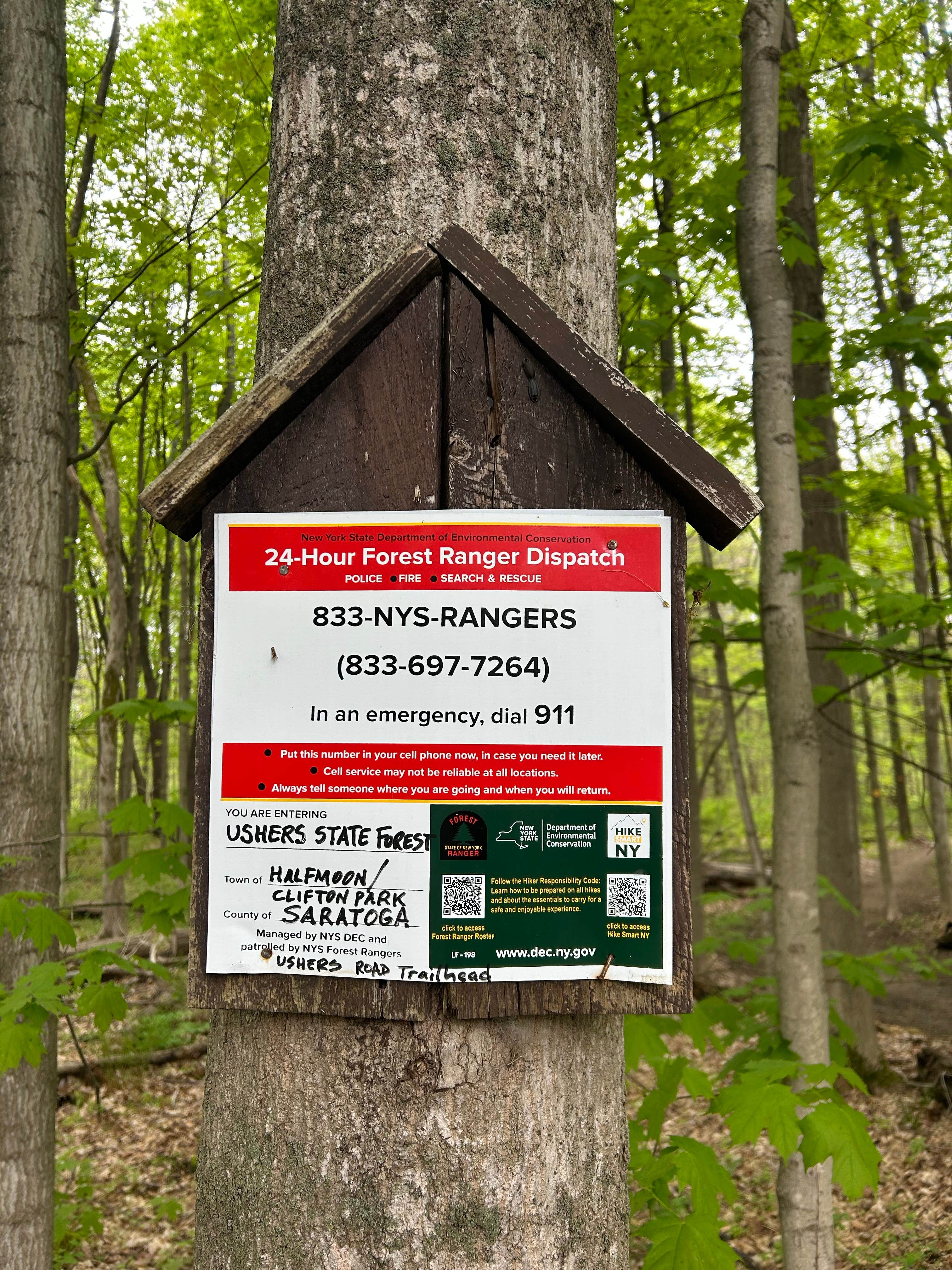 Camper-submitted photo at Ushers Road State Forest near Saratoga Springs, NY