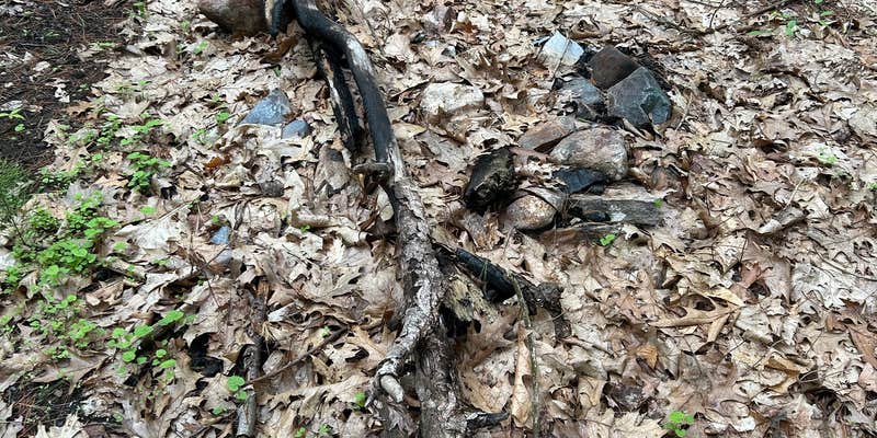 Camper submitted image from Ushers Road State Forest