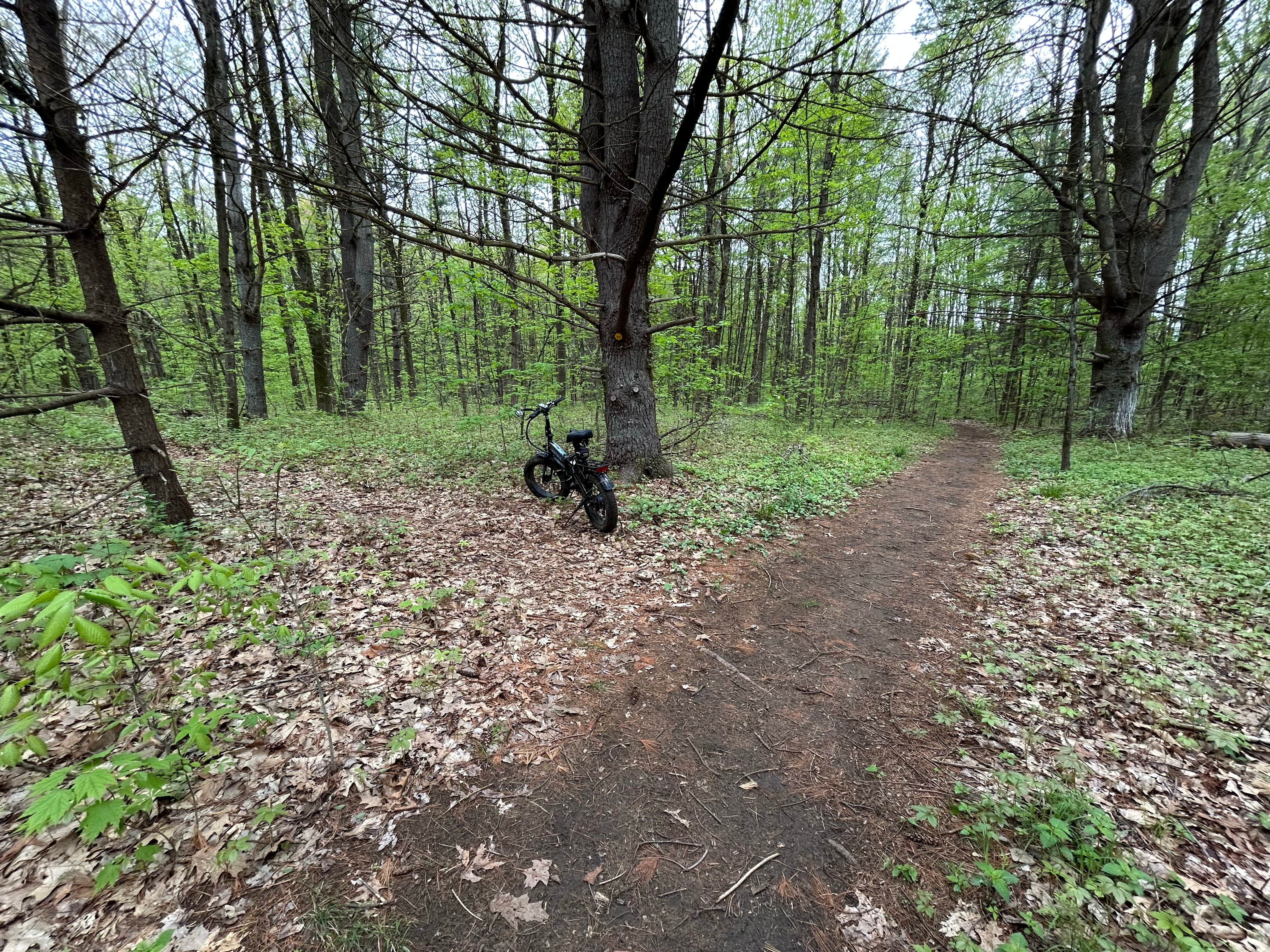 Ushers Road State Forest