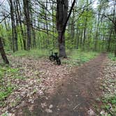 Review photo of Ushers Road State Forest by The L., May 8, 2025