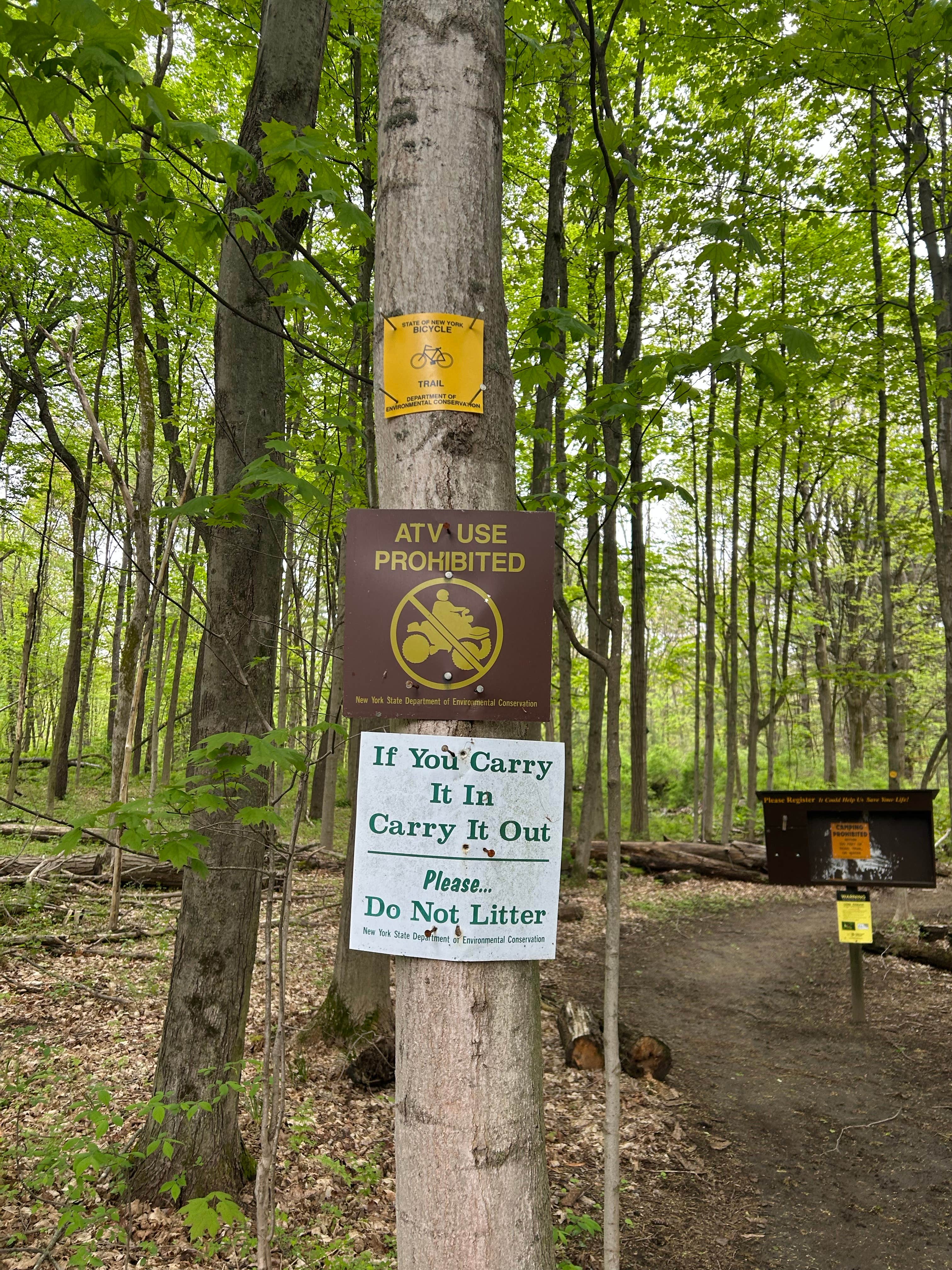 Camper-submitted photo at Ushers Road State Forest near Saratoga Springs, NY