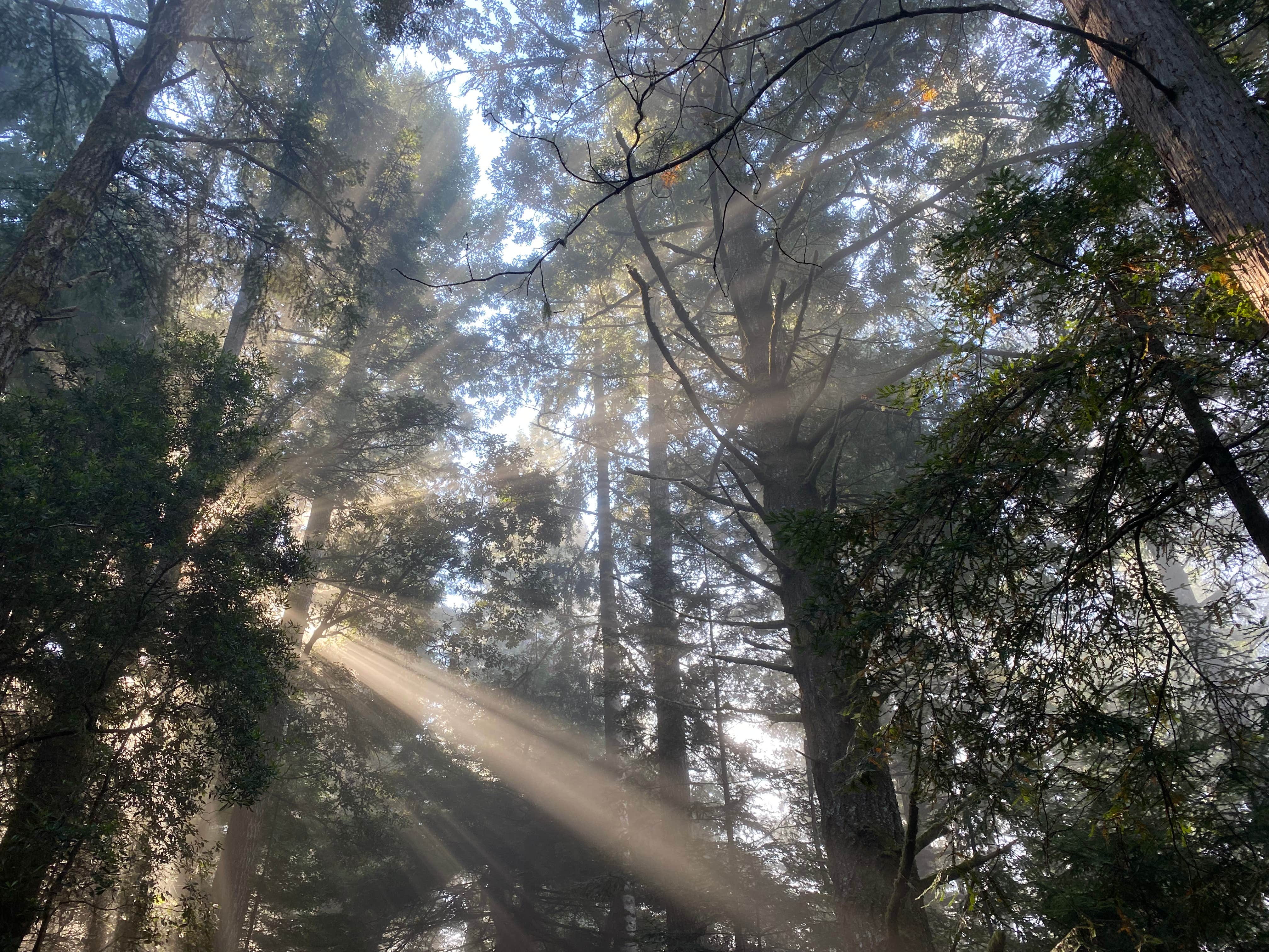 Camper-submitted photo at Usal Beach Campground near Piercy, CA