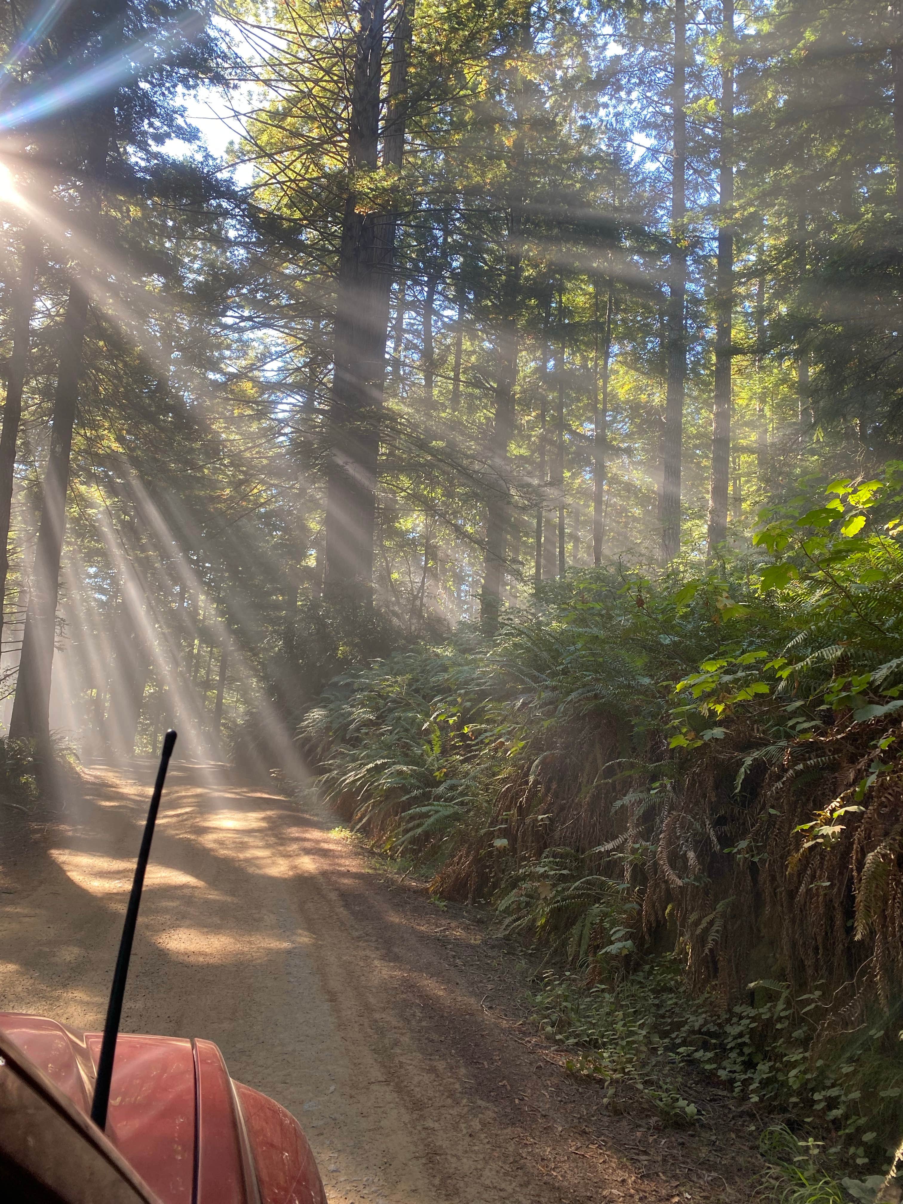 Monique  F.'s photo of a dispersed camping area at Usal Beach Campground near Carlotta, CA