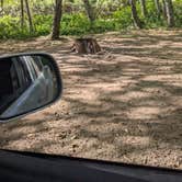 Review photo of Usal Beach Campground by Jasmine B., July 11, 2026