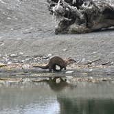 Review photo of Usal Beach Campground by Grant M., May 29, 2026