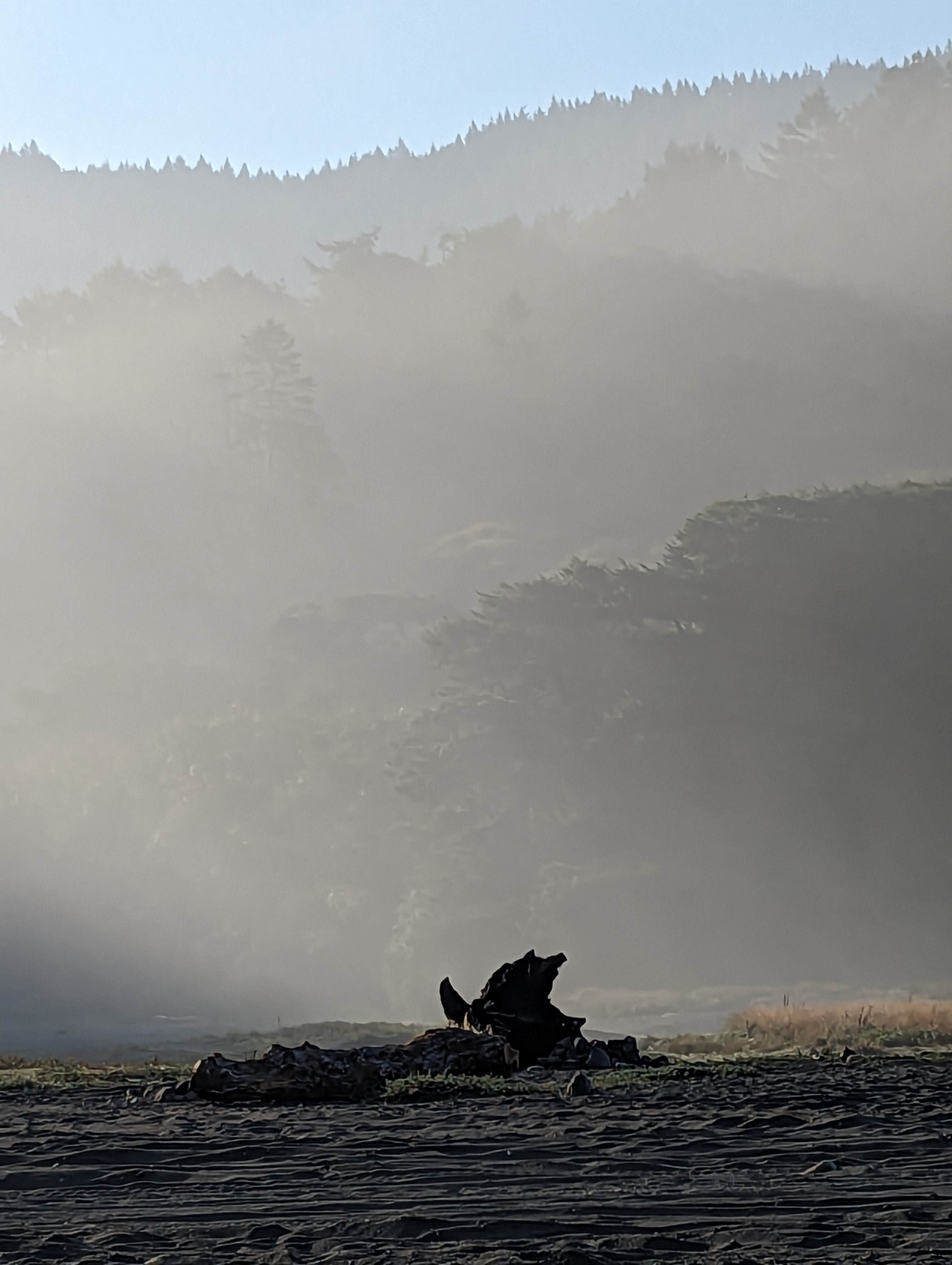 Camper-submitted photo at Usal Beach Campground near Piercy, CA