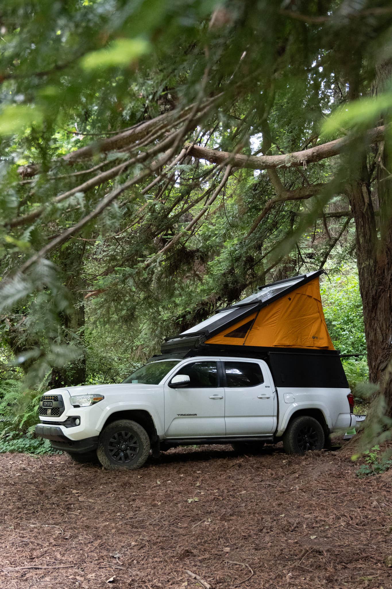 Camper-submitted photo at Usal Beach Campground near Albion, CA