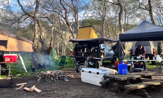 Camping near Redwood Campground — Standish-Hickey State Recreation Area: Usal Beach Campground, Leggett, California