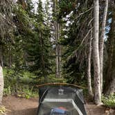 Review photo of Albion Basin by Michael P., August 23, 2025