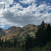 Review photo of Albion Basin by Michael P., August 23, 2025