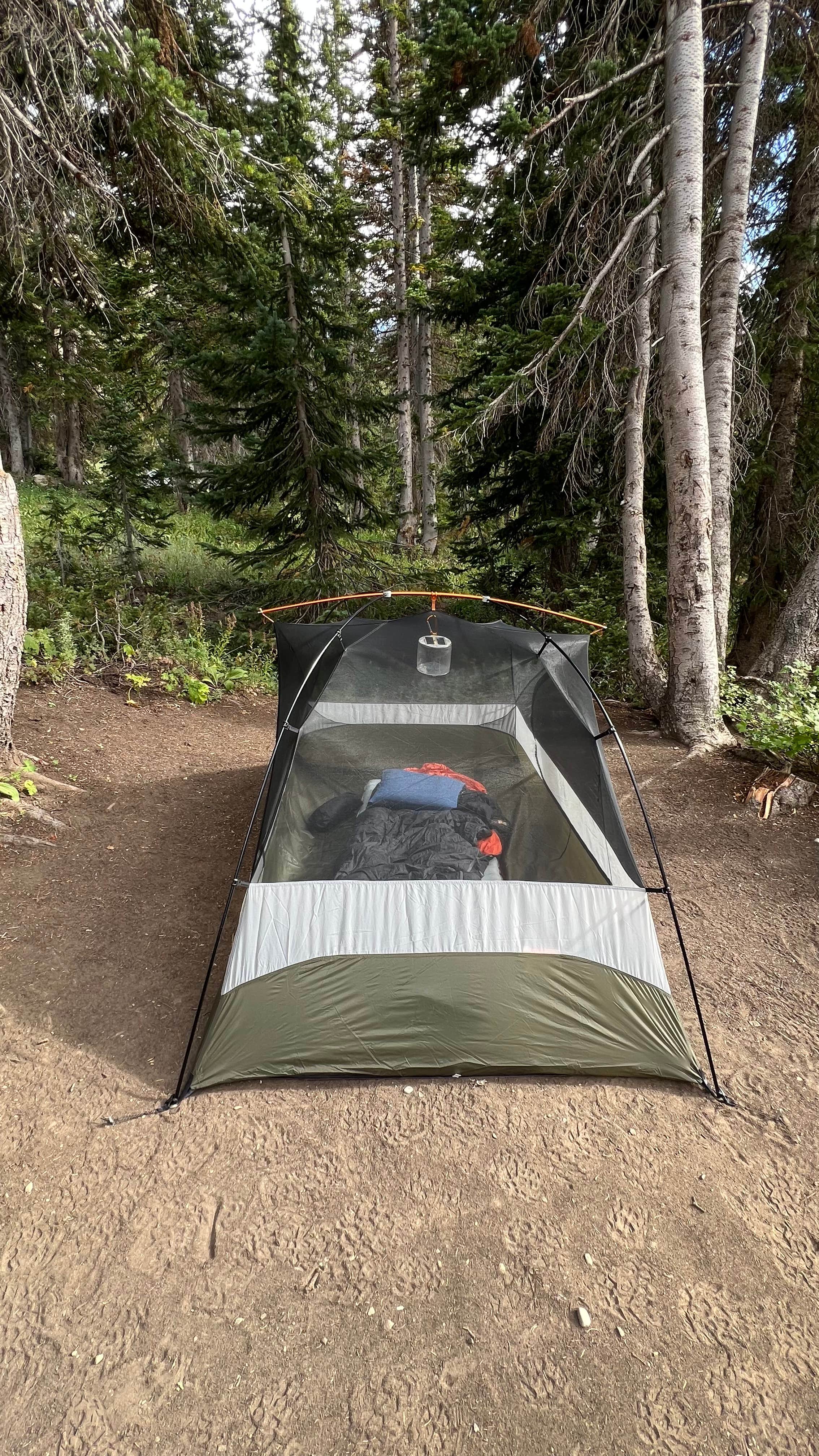 Camper submitted image from Albion Basin - 5