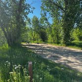 Review photo of Anderson Cove (uinta-wasatch-cache National Forest, Ut) by Kristen W., June 9, 2025