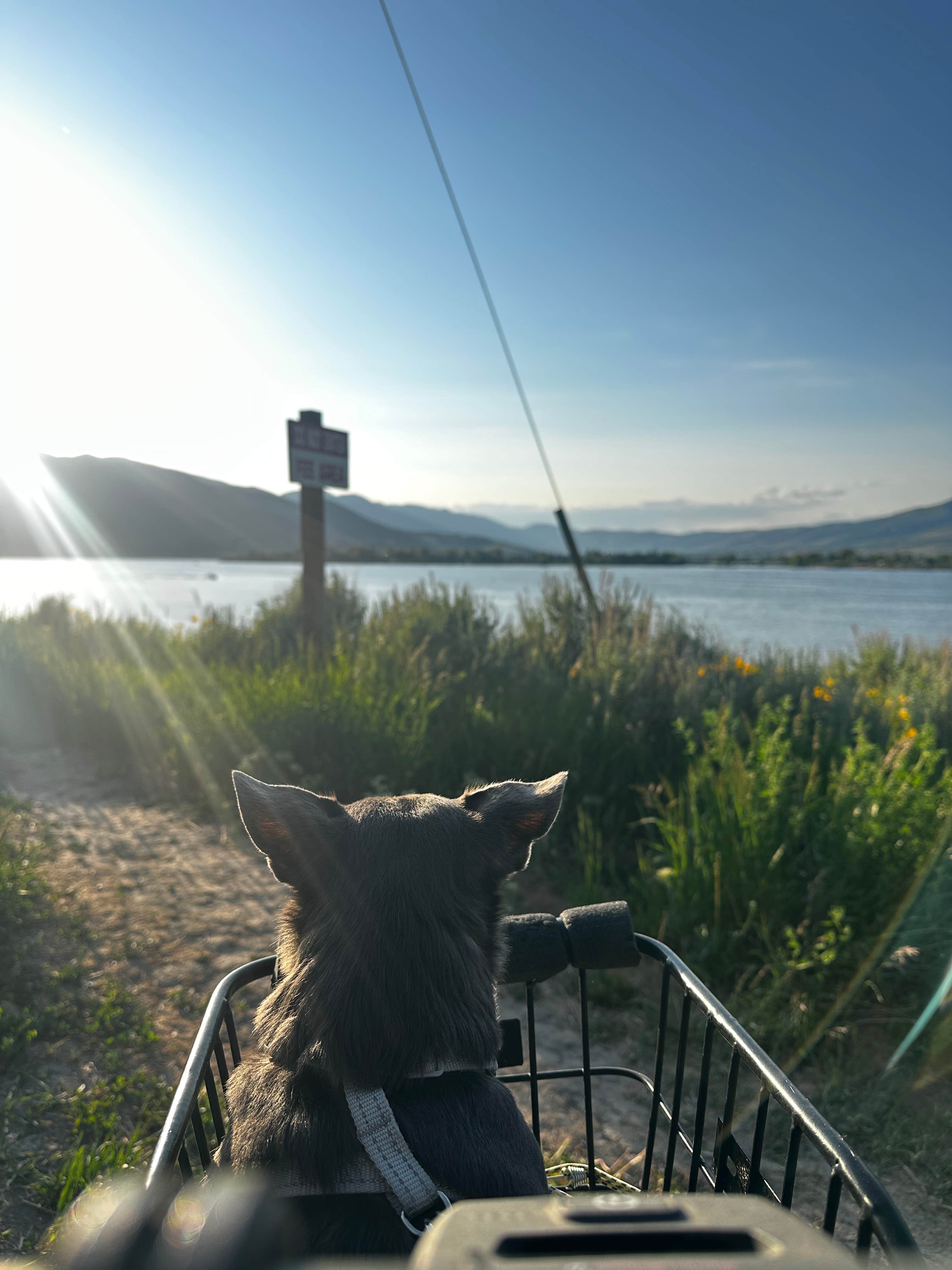 Kristen W.'s photo of camping with pets at Anderson Cove (uinta-wasatch-cache National Forest, Ut) near Layton, UT