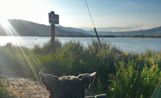 Kristen W.'s photo of camping with pets at Anderson Cove (uinta-wasatch-cache National Forest, Ut) near Roy, UT
