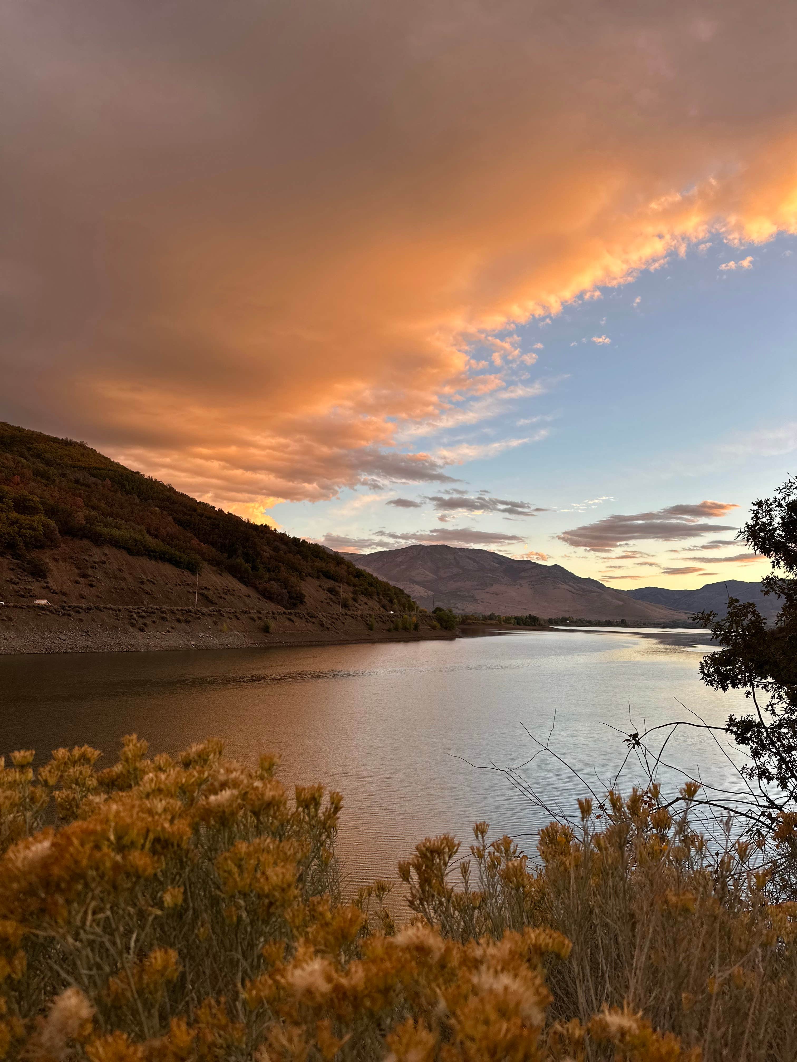 Camper-submitted photo at Anderson Cove (uinta-wasatch-cache National Forest, Ut) near Kaysville, UT