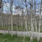 Review photo of Aspen Grove (uinta-wasatch-cache National Forest, Ut) by Cianna S., May 23, 2025